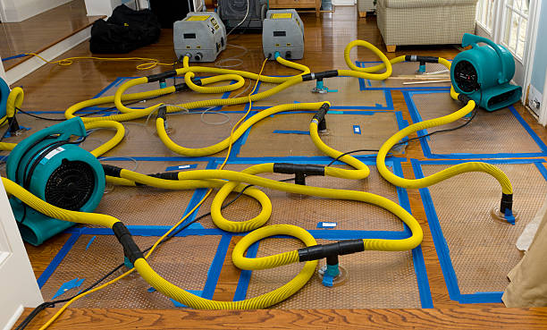 Professional Basement Flood Cleanup technician working in Hart, TX